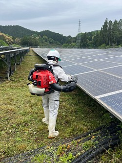 除草後の清掃